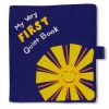 Pockets of Learning - My Very First Quiet Book