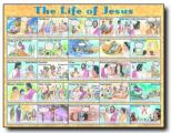 Life Of Jesus - Wall Chart - Lam