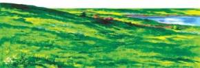 Felt - Small Hillside Overlay