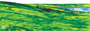 Felt - Meadow - Large