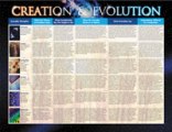 Creation And Evolution - Wall Chart - Laminated