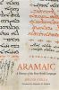 Aramaic: A History of the First World Language
