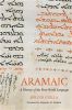 Aramaic: A History of the First World Language