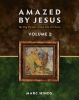 Amazed By Jesus: The Big Picture Of The Life Of Christ - Vol 2