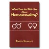 What Does The Bible Say About Homosexuality?